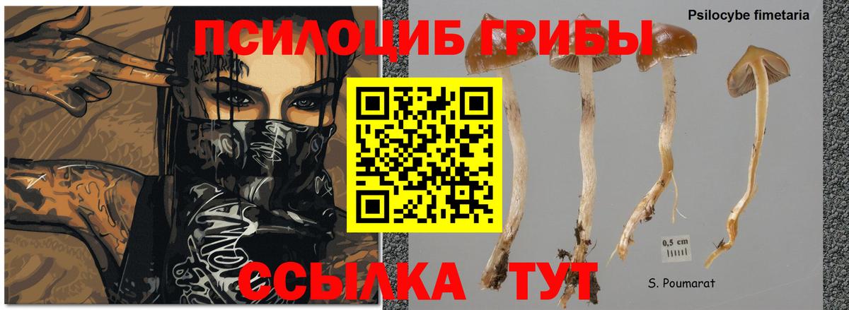 Псилоцибиновые грибы Magic Shrooms Верхняя Салда